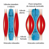 Ativador de Circulação Liberty 3D